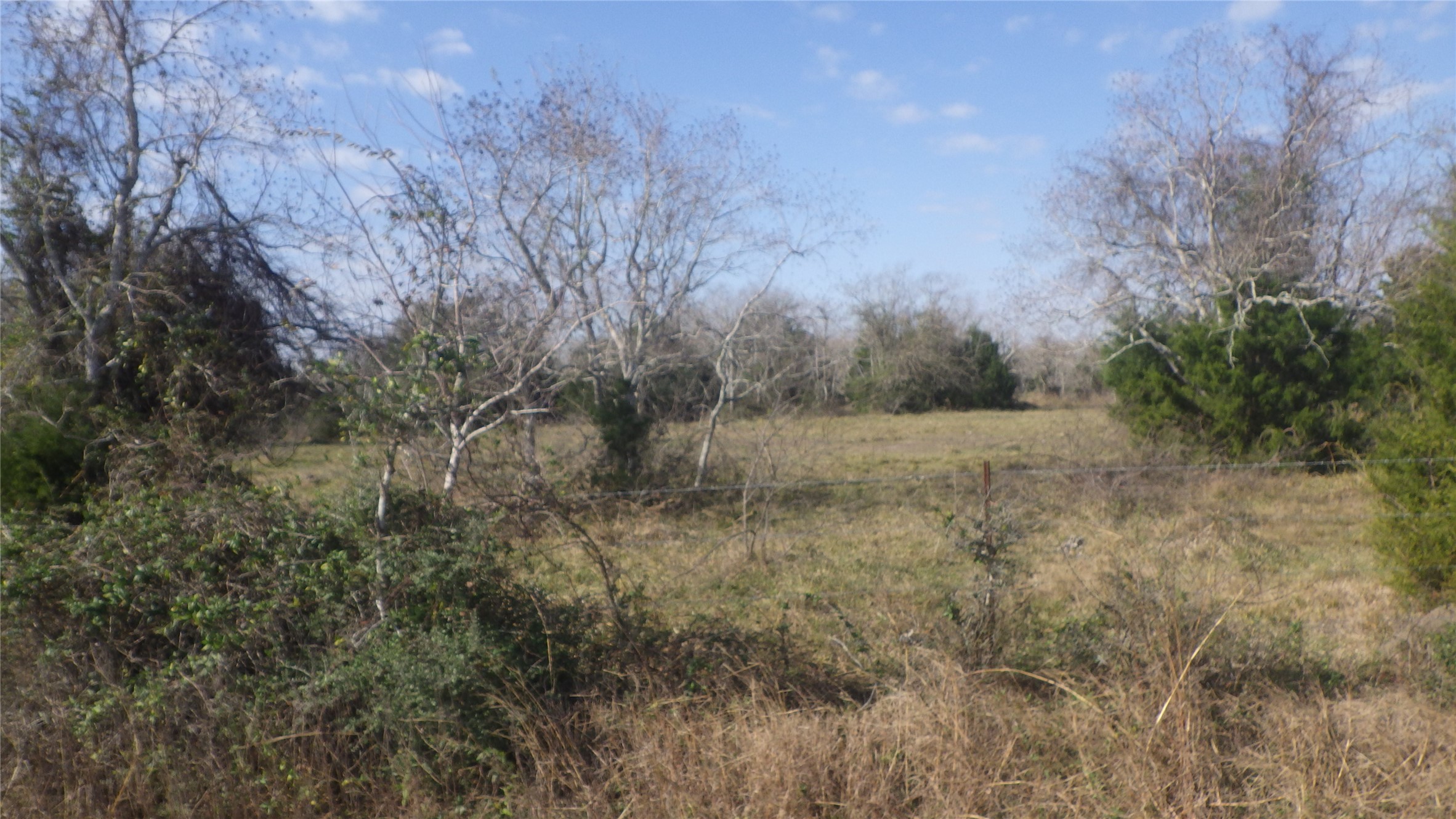 0000 0000 Property Photo 5