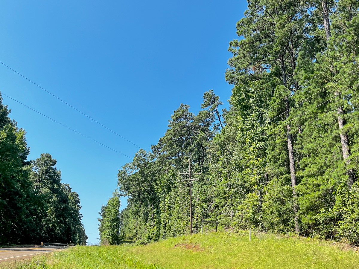 02 Highway 87 Property Photo 5