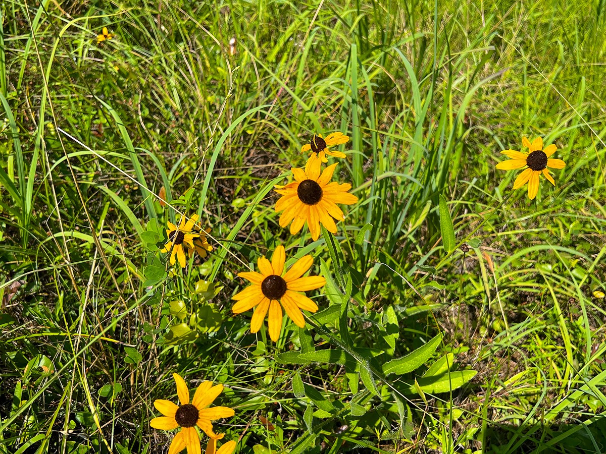 02 Highway 87 Property Photo 6