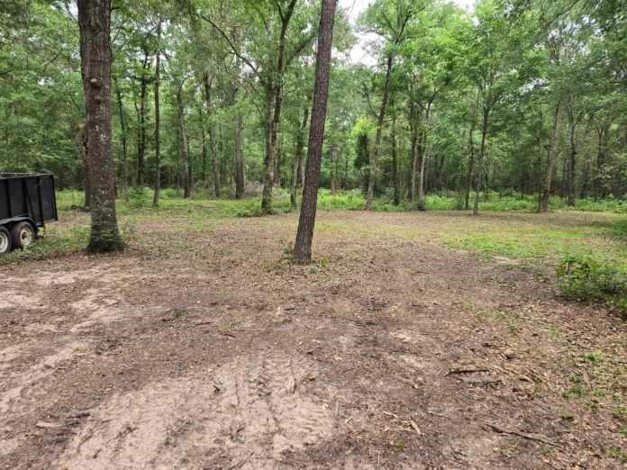 12a Mills Lane Property Photo 15
