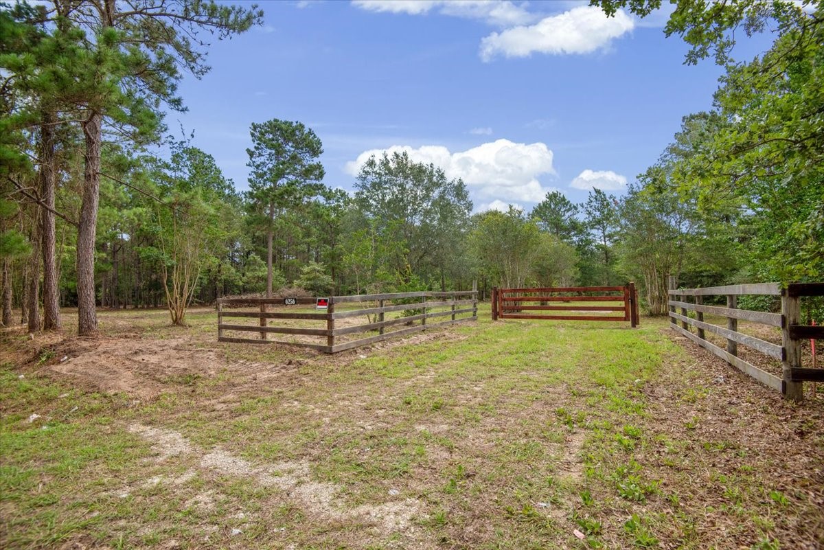 Tbd Lot 3 County Road 302 Property Photo 4