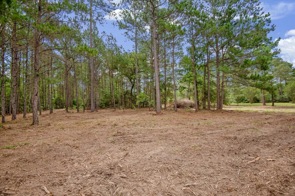 Tbd Lot 3 County Road 302 Property Photo 6