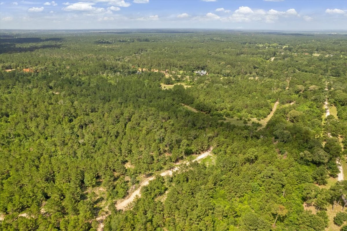 Tbd Lot 3 County Road 302 Property Photo 16