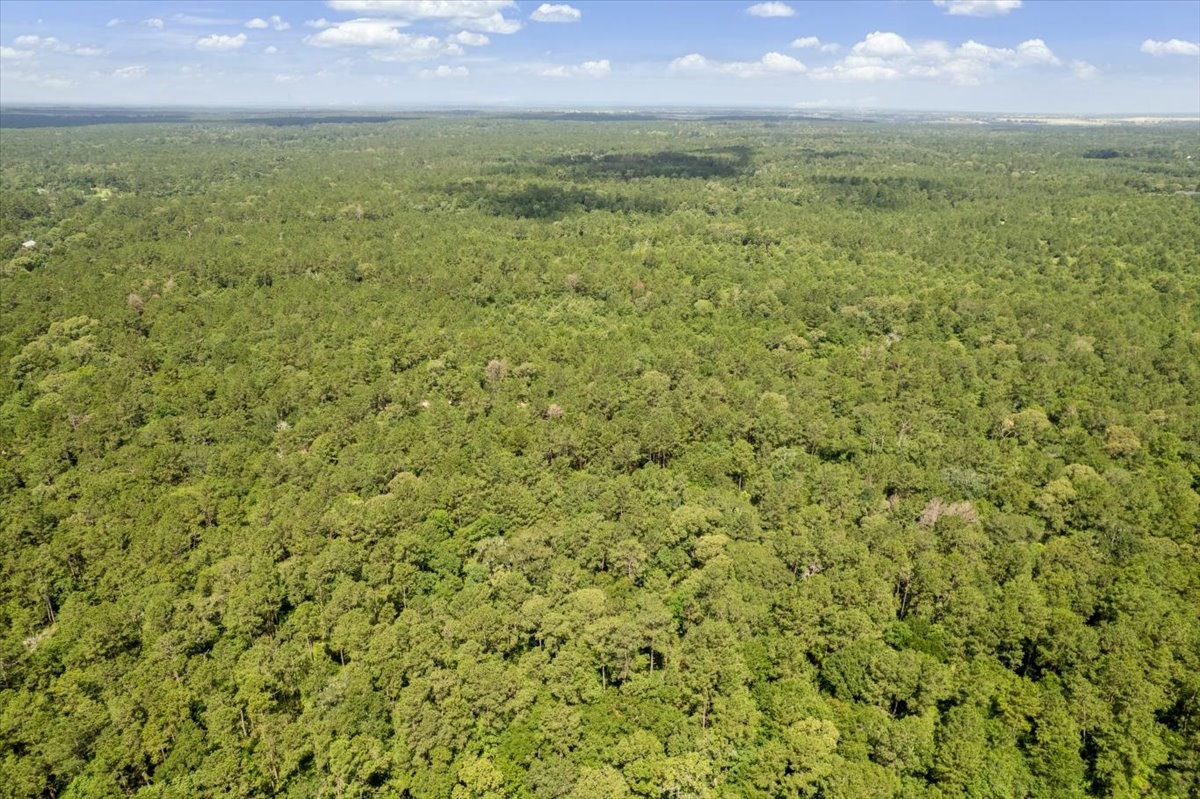 Tbd Lot 3 County Road 302 Property Photo 23