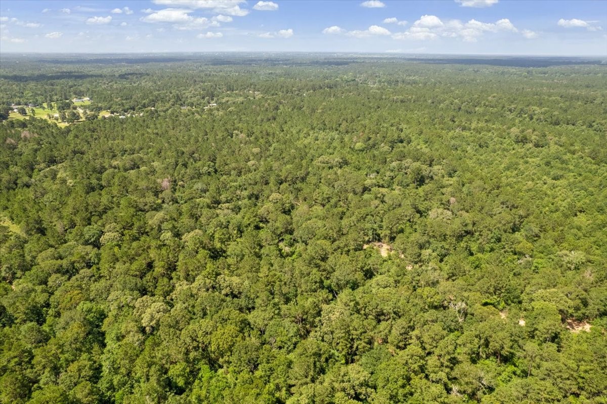 Tbd Lot 3 County Road 302 Property Photo 25