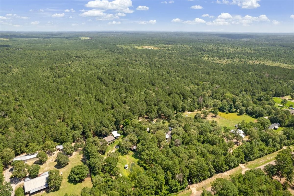 Tbd Lot 3 County Road 302 Property Photo 31