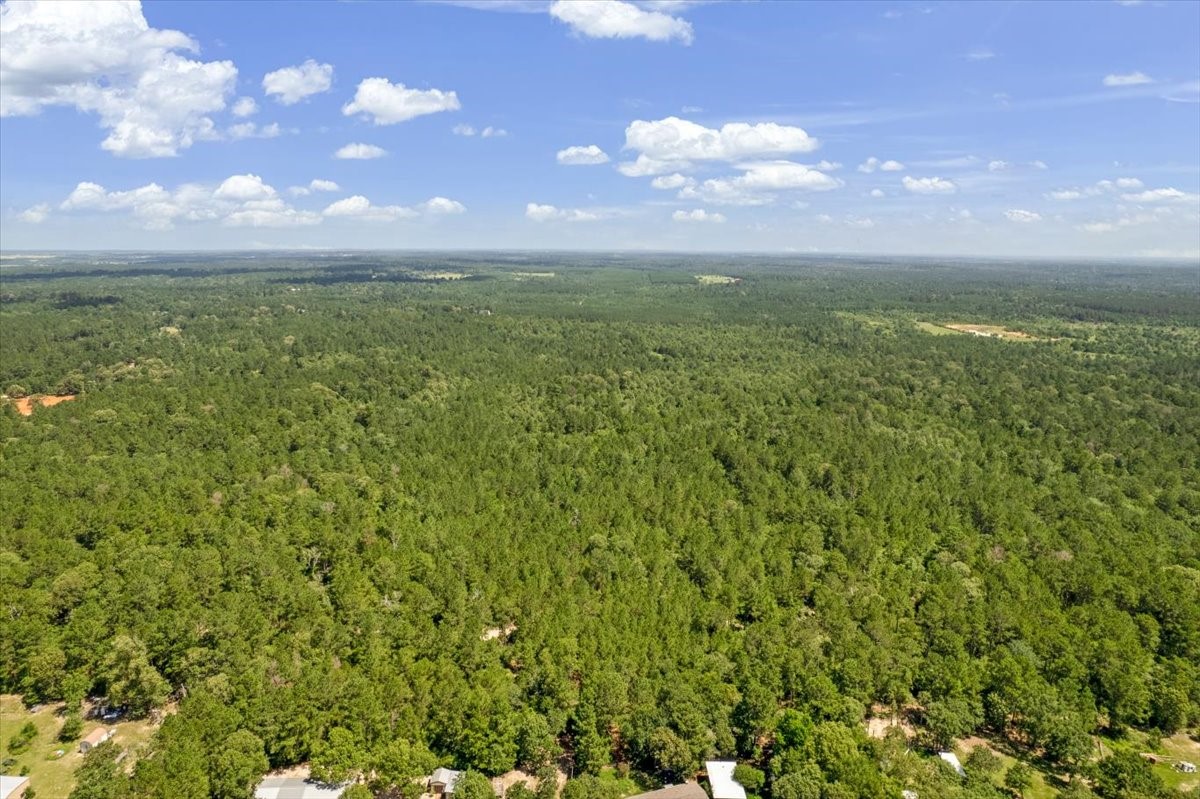 Tbd Lot 3 County Road 302 Property Photo 33