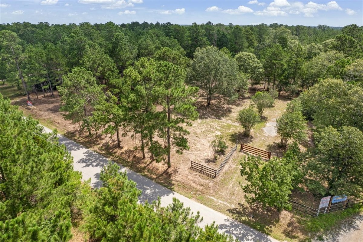 Tbd Lot 3 County Road 302 Property Photo 39