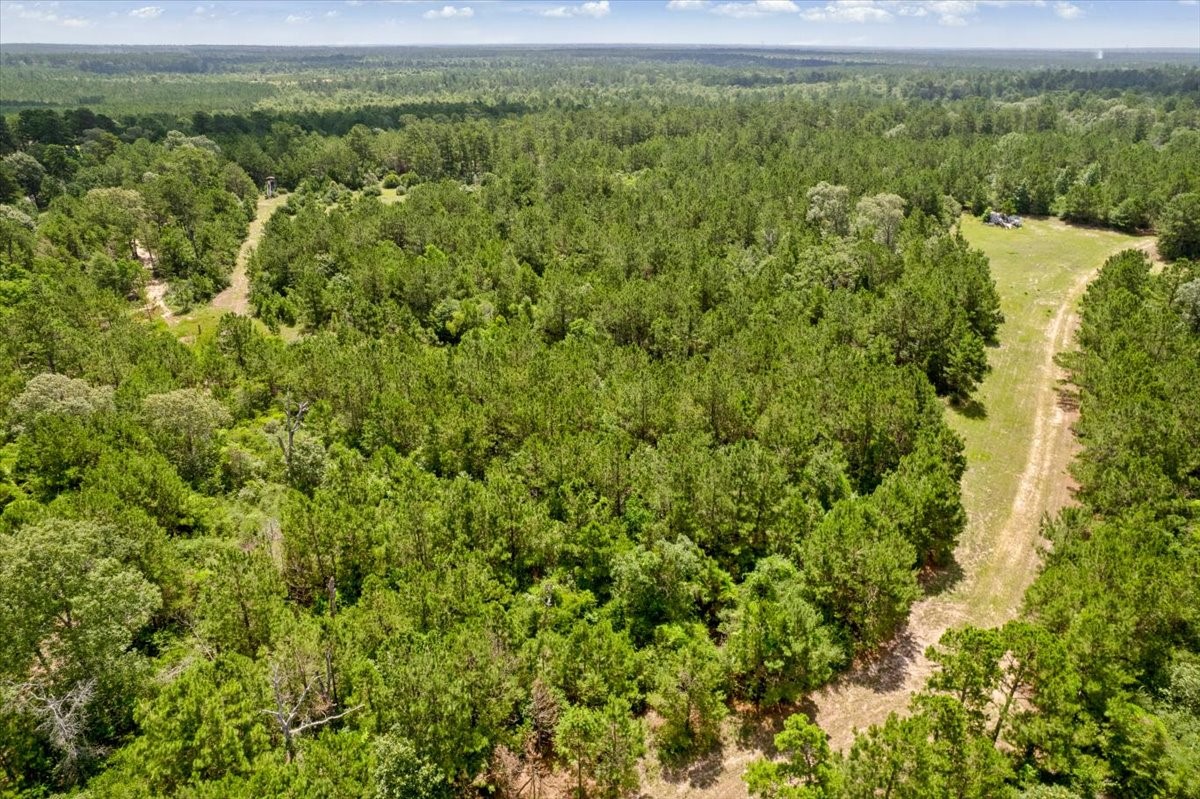 Tbd Lot 3 County Road 302 Property Photo 43