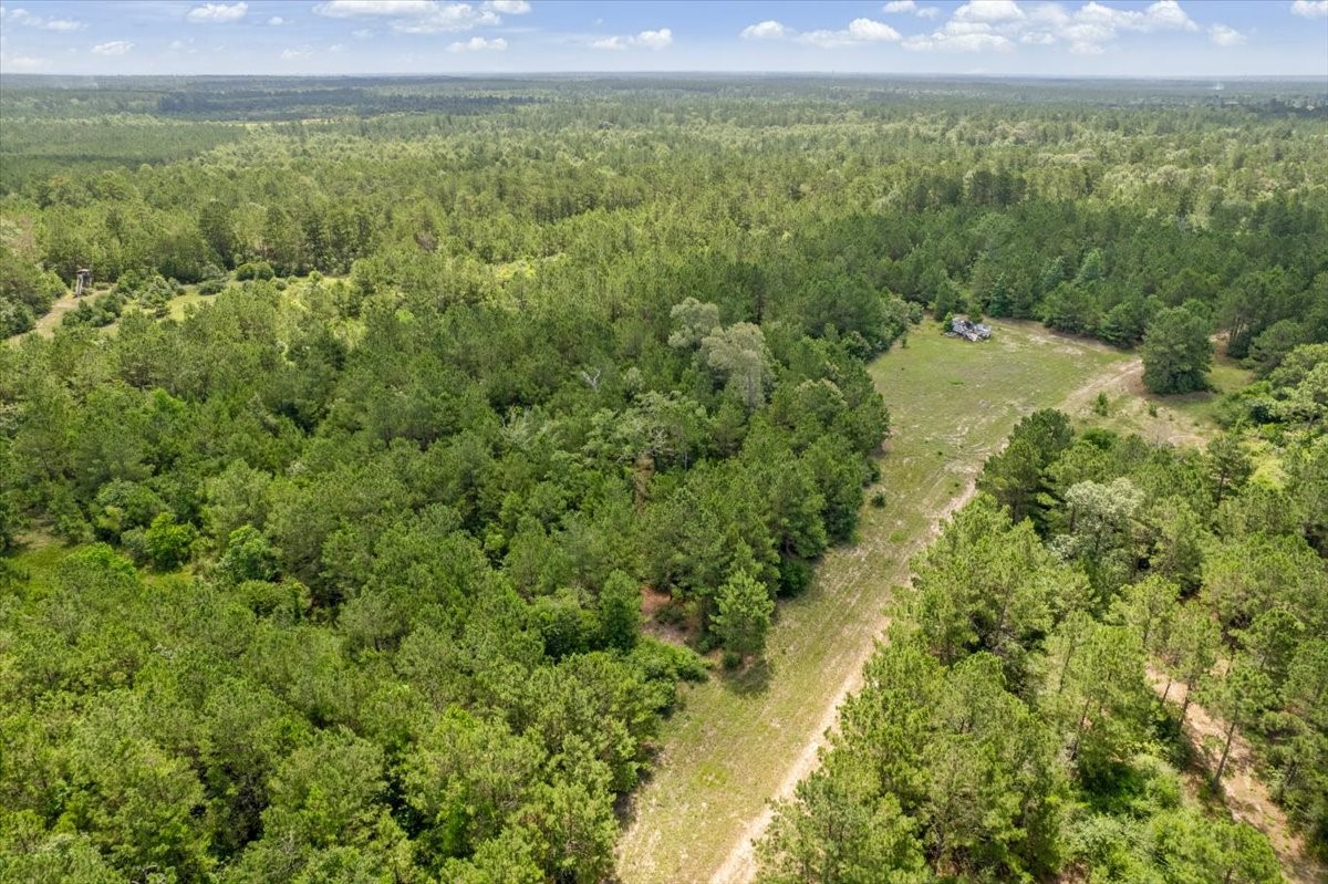 Tbd Lot 3 County Road 302 Property Photo 44