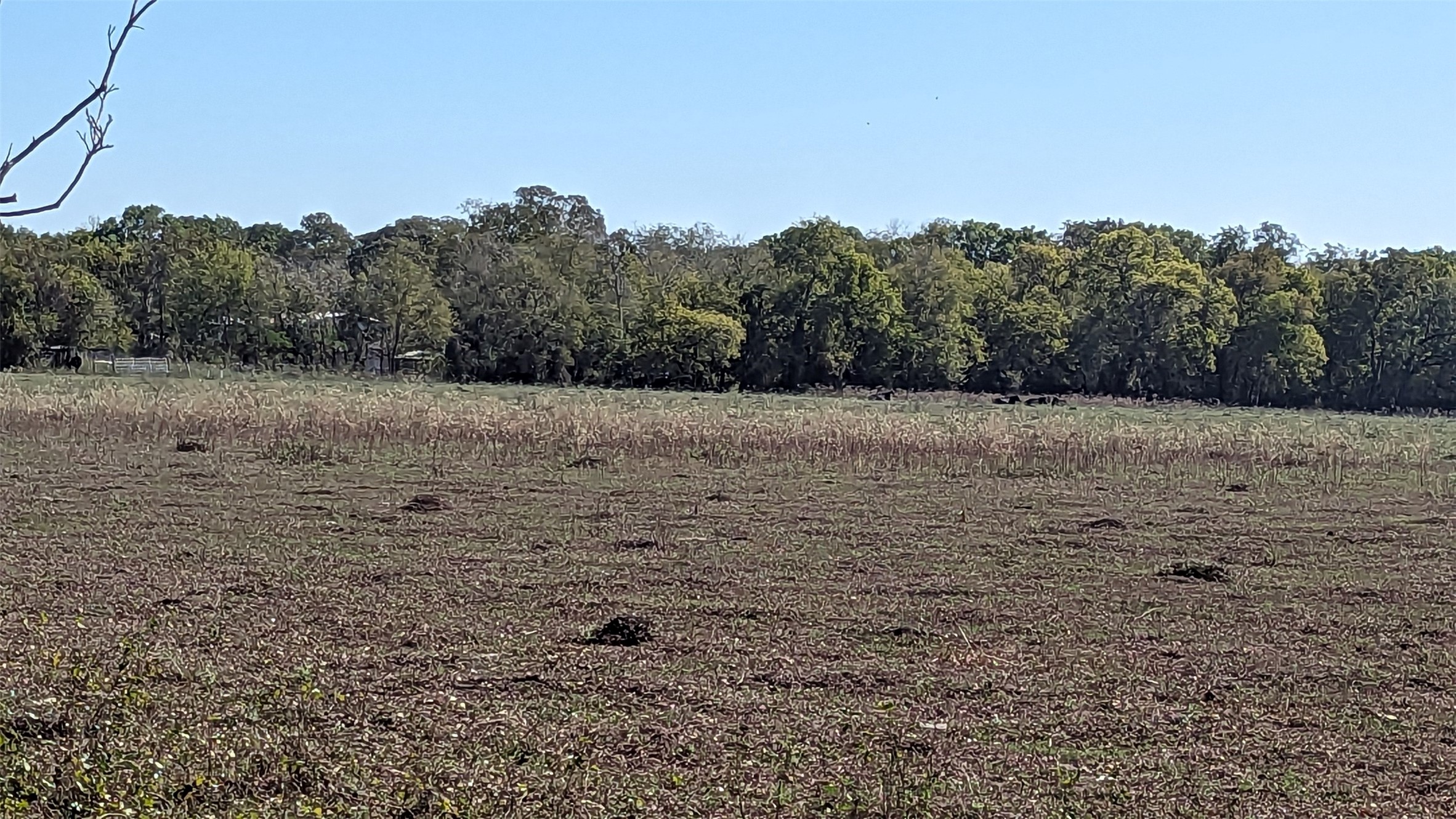 0000 County Road 159 Property Photo 1