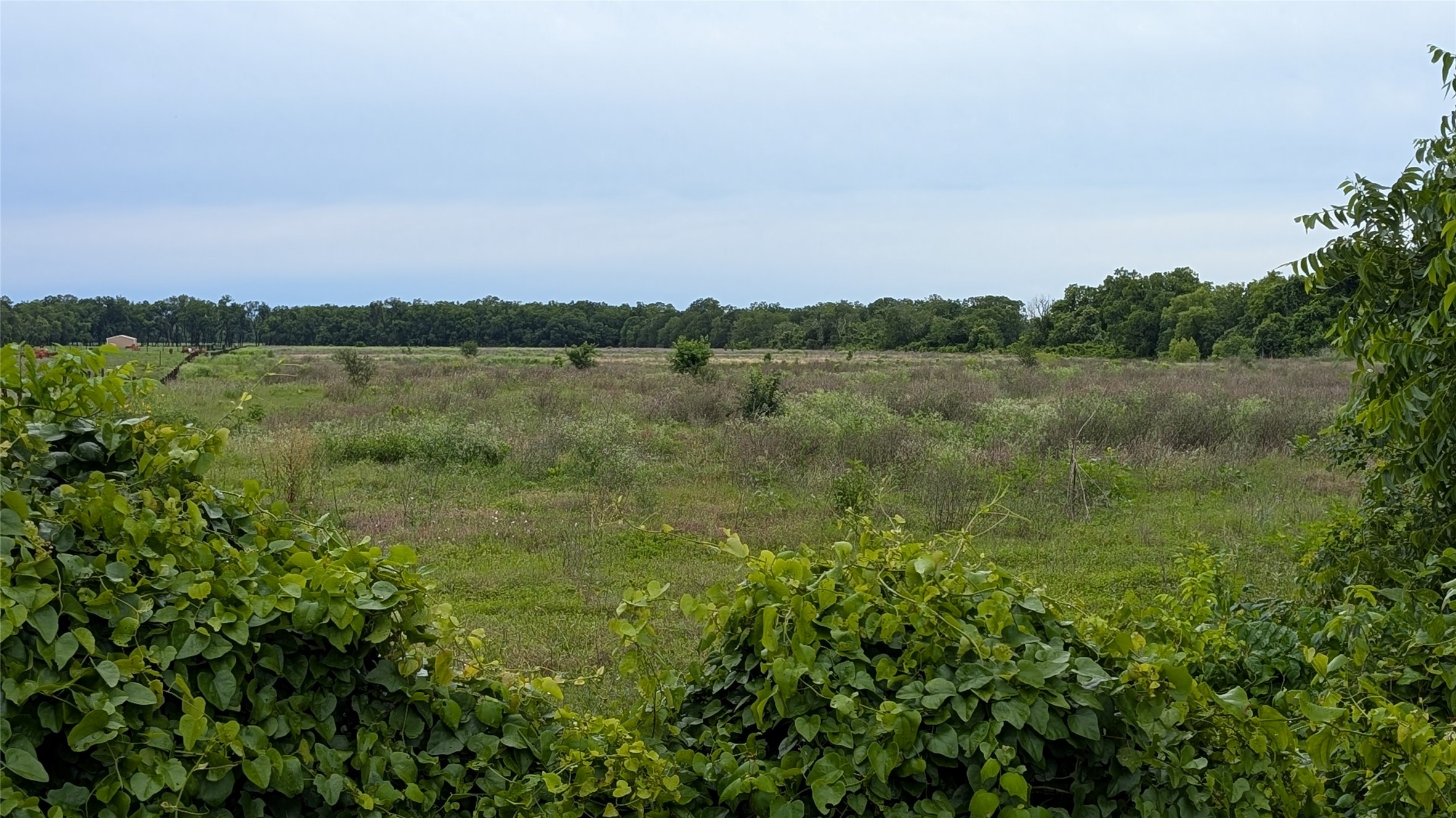 0000 County Road 159 Property Photo 2