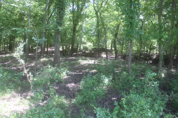 0000 County Road 159 Property Photo 4