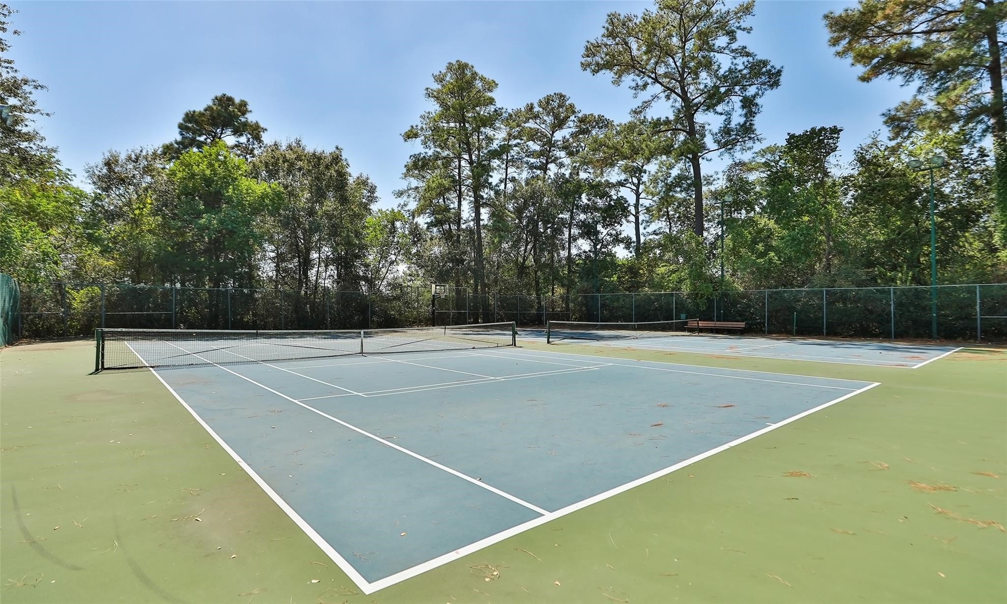 12911 Bristol Berry Drive Property Photo 43