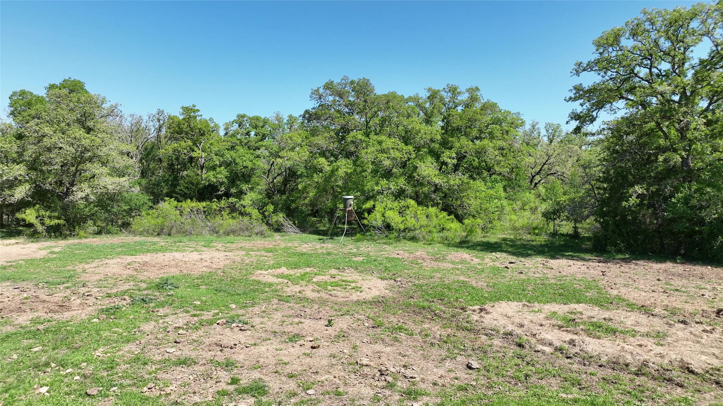 0 County Road 119 Property Photo 8