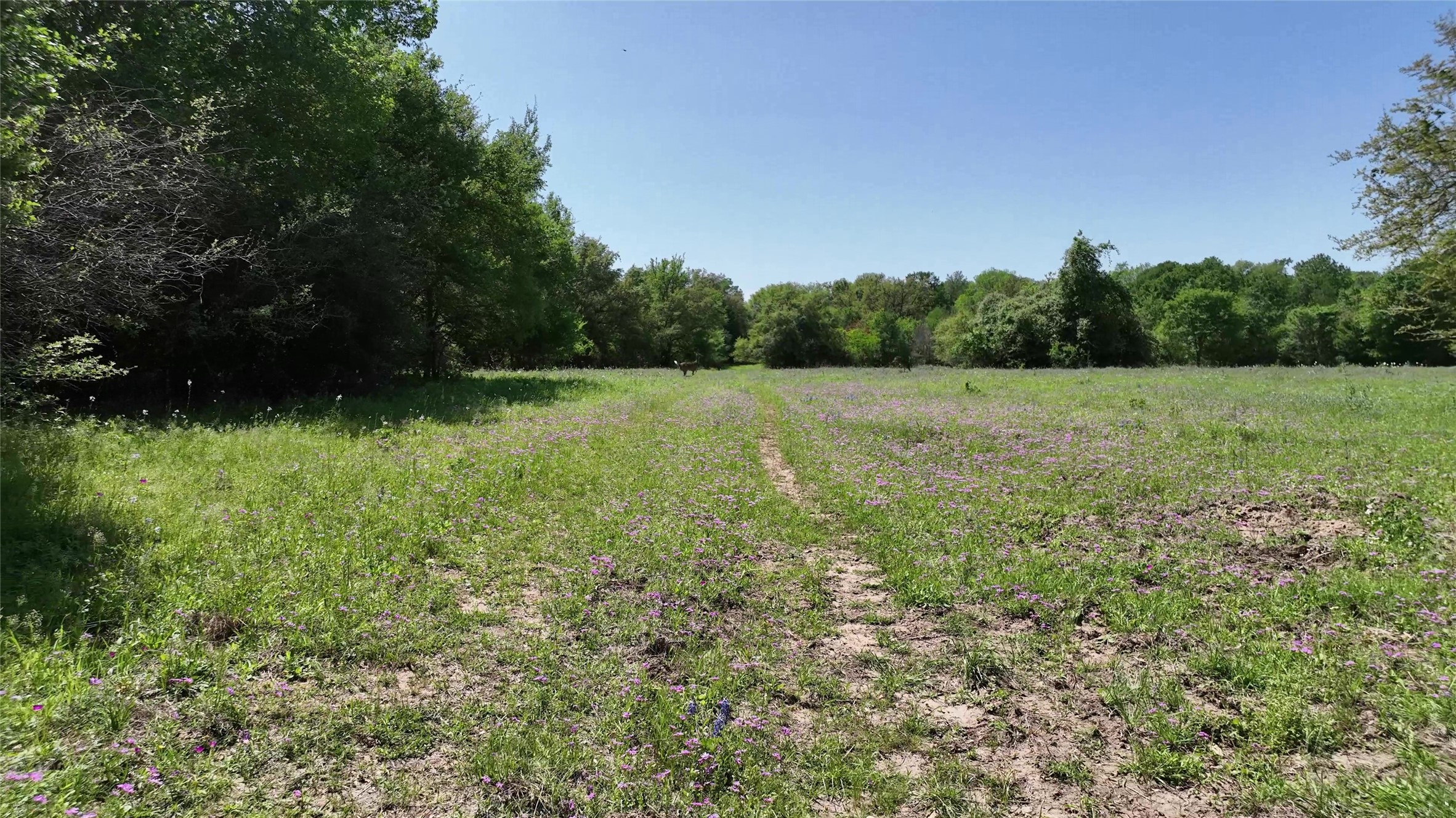 0 County Road 119 Property Photo 33