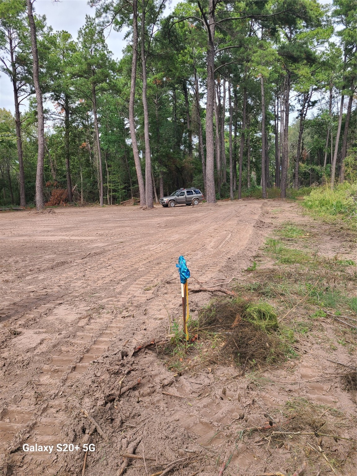 Airtex Hardy/airtex Road Property Photo 3
