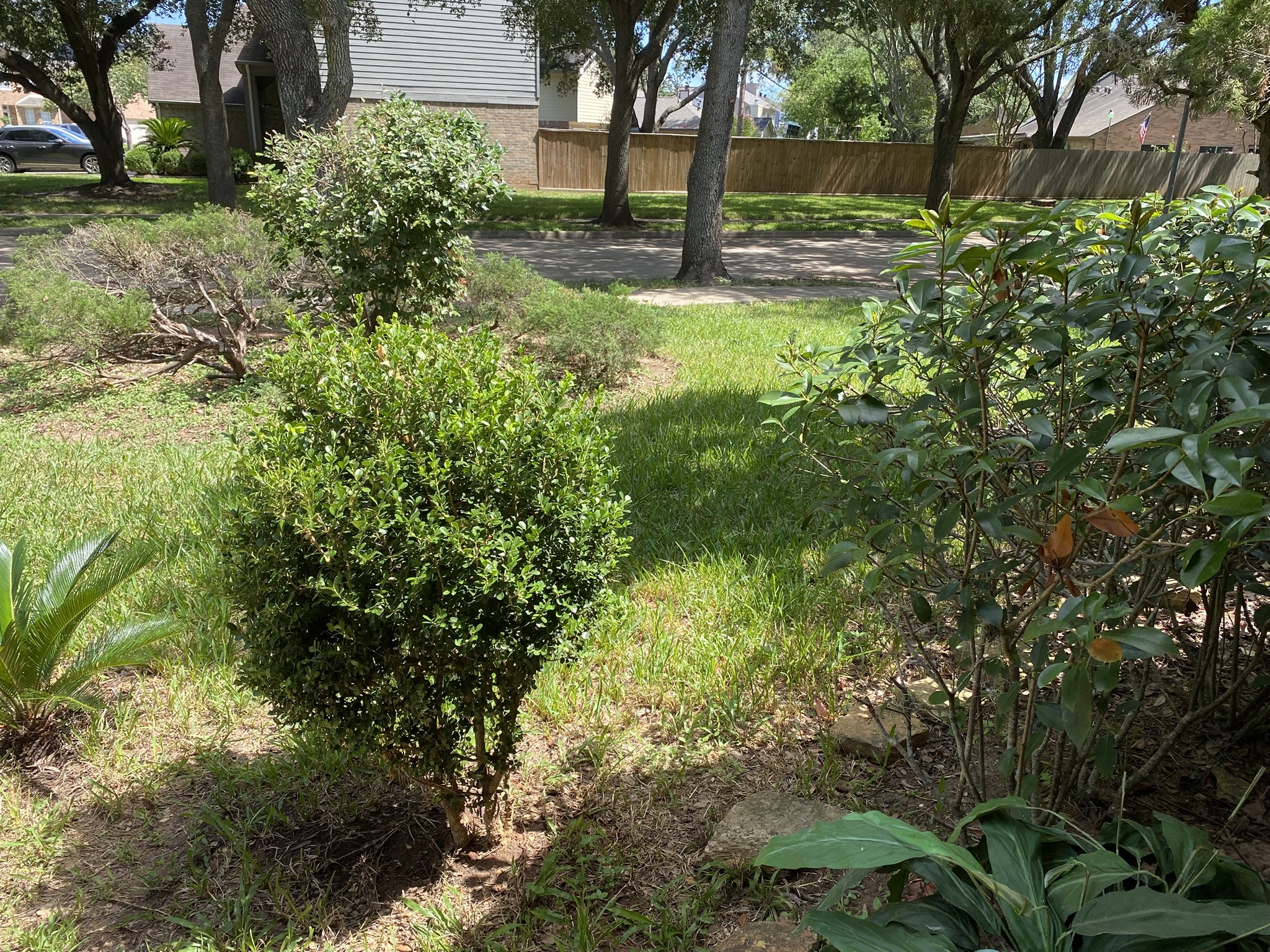 2426 Lakefield Way Property Photo 19