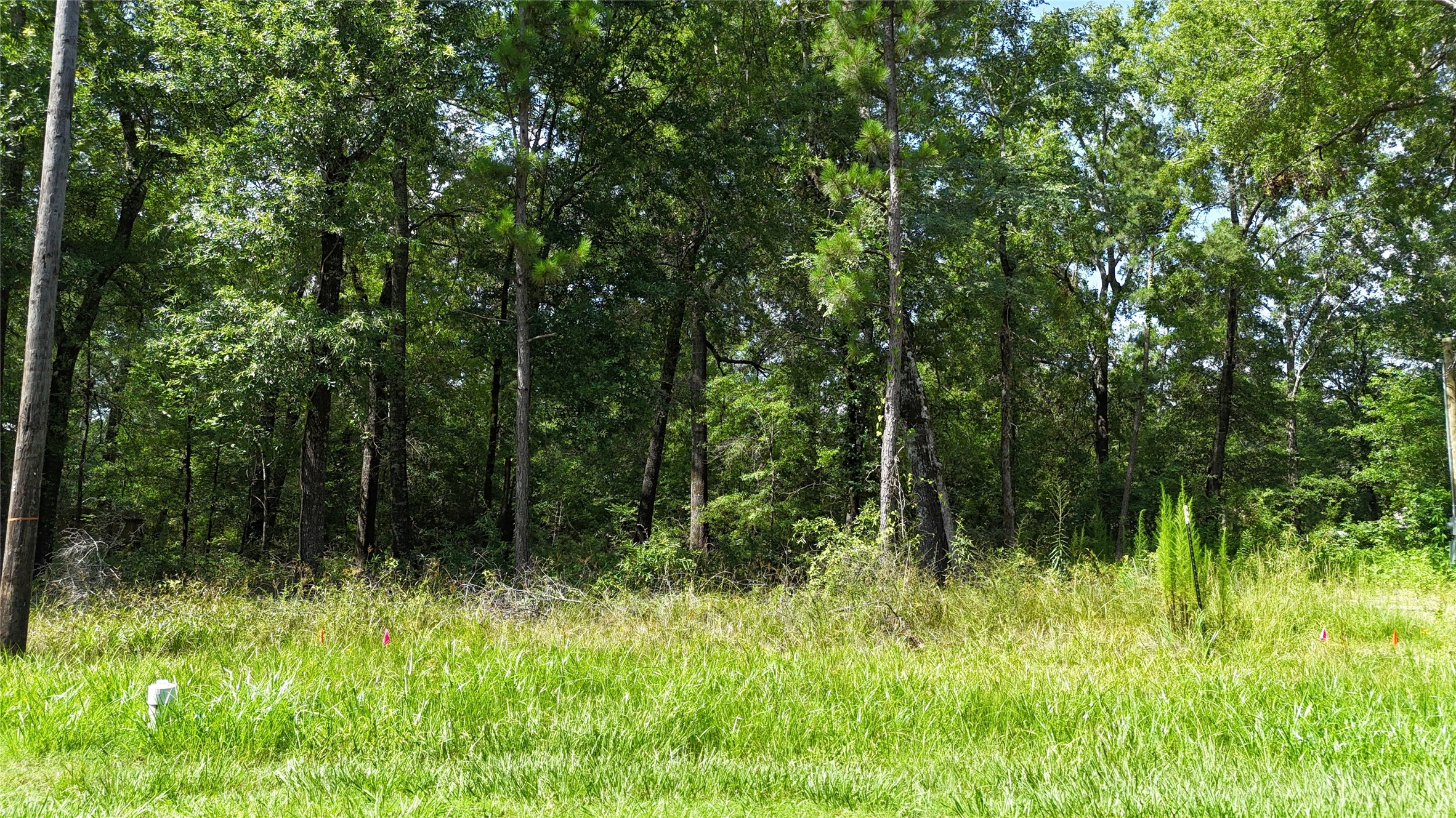 00 Southland Circle Property Photo 3