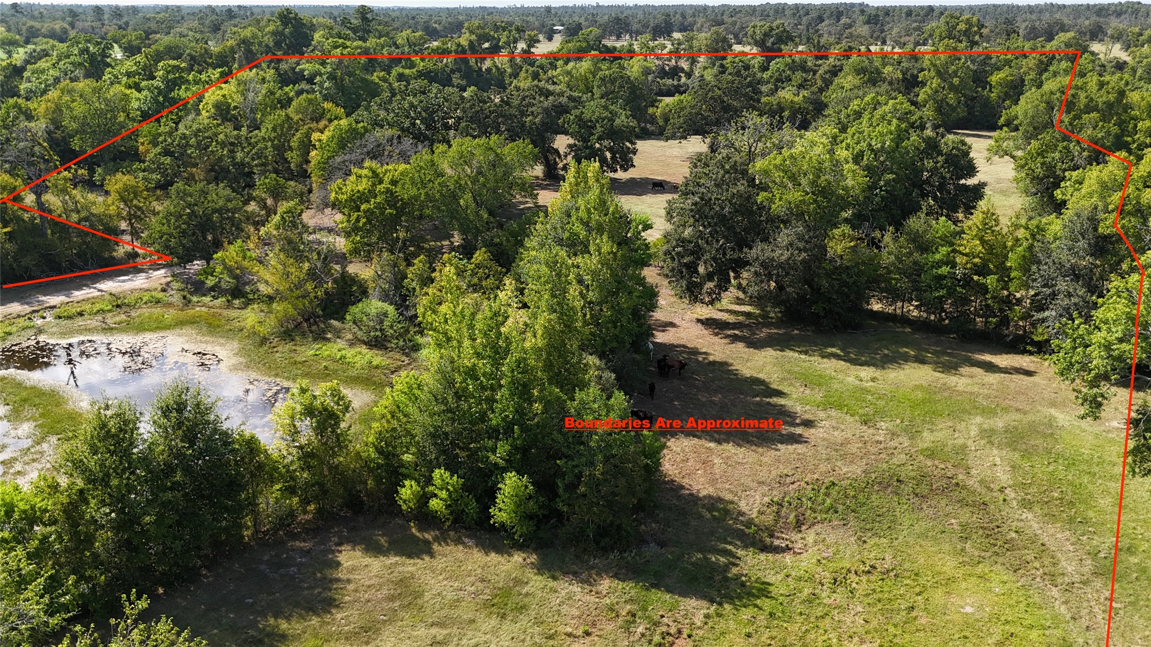 476 Rosenwall Road Property Photo 4