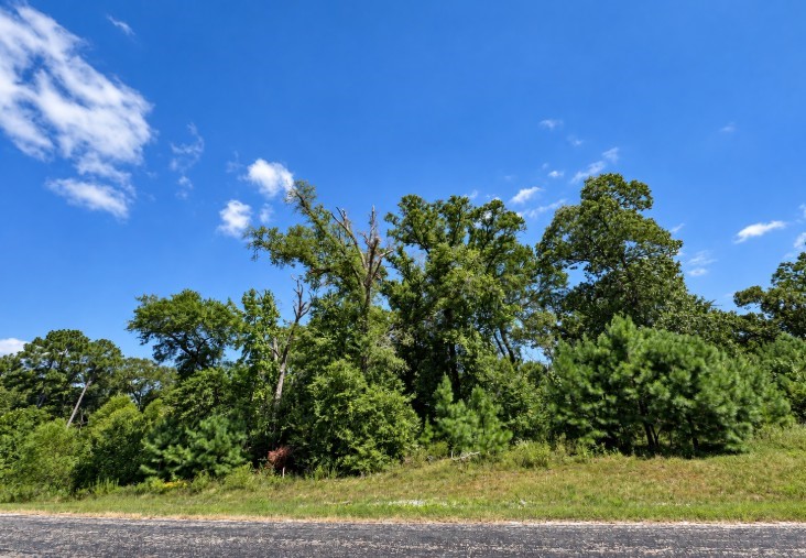 2-11-15 Tbd Remington Road Property Photo 3