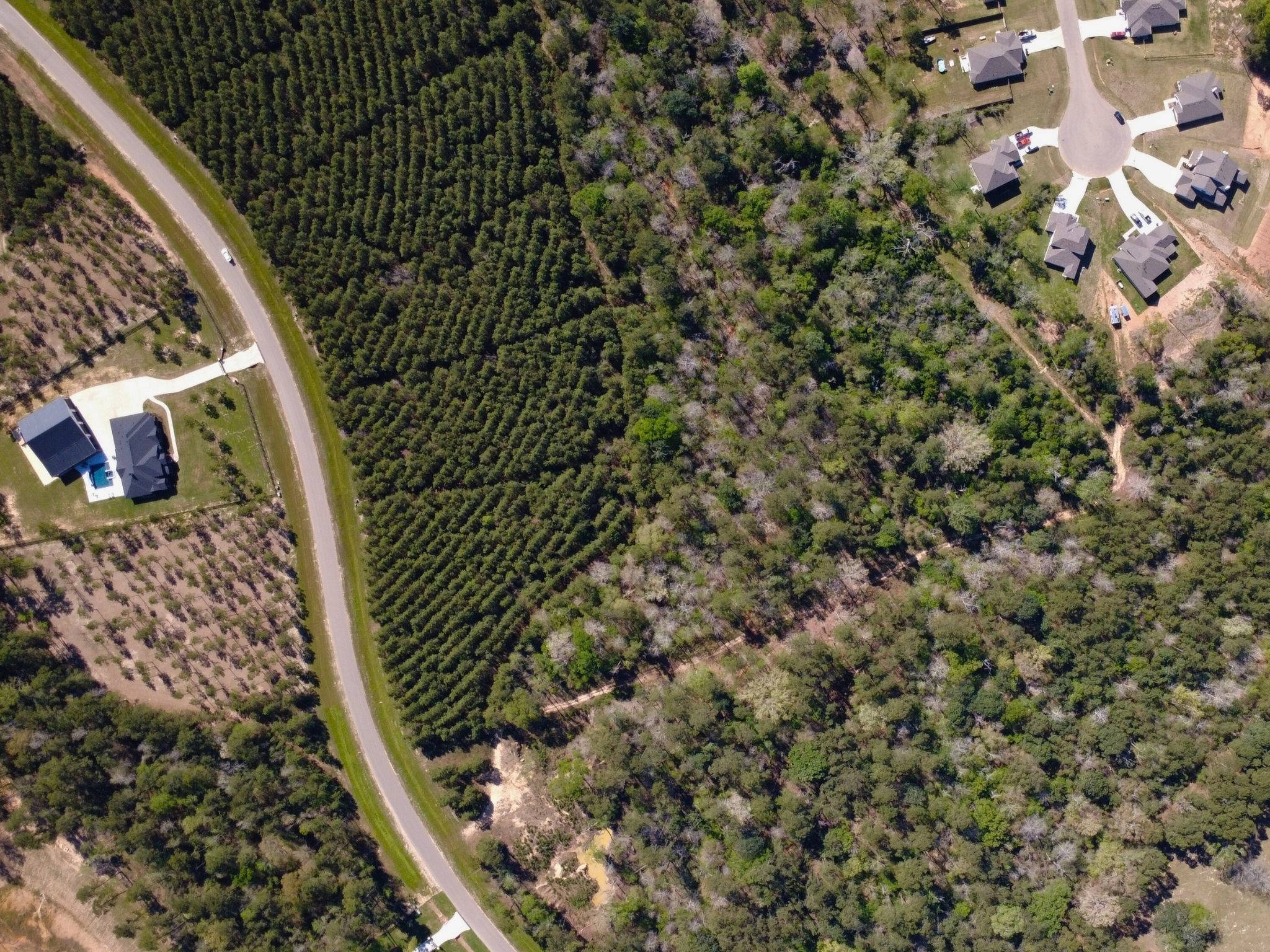 15761 Ridge Rock Road Property Photo 3