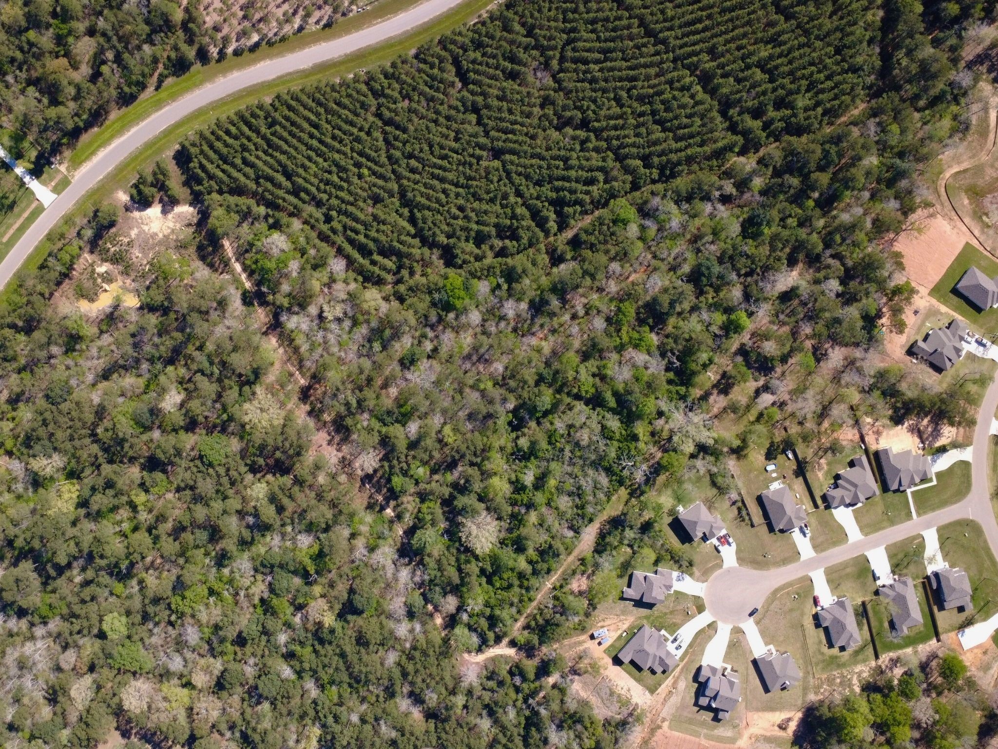 15761 Ridge Rock Road Property Photo 4