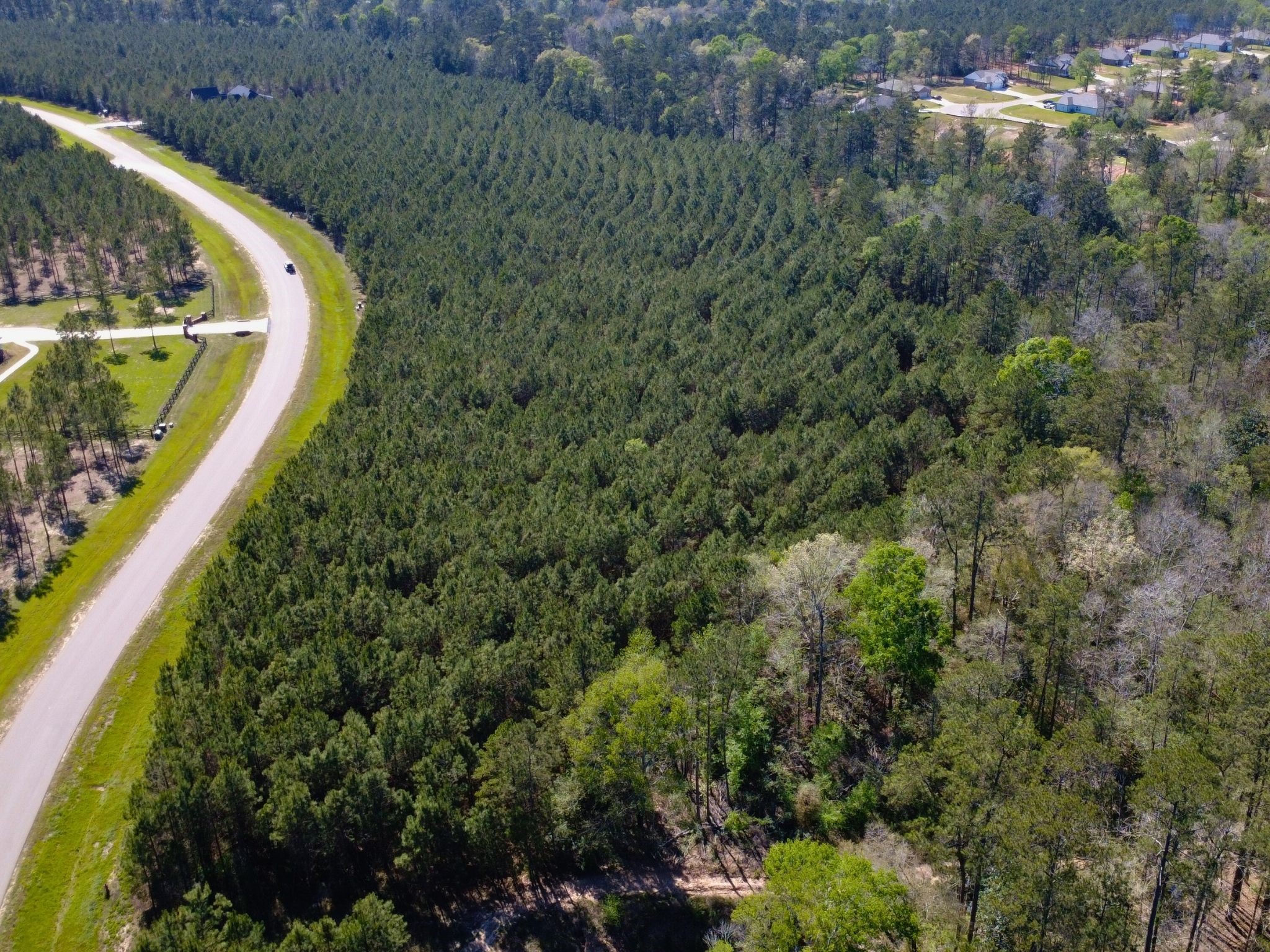 15761 Ridge Rock Road Property Photo 7