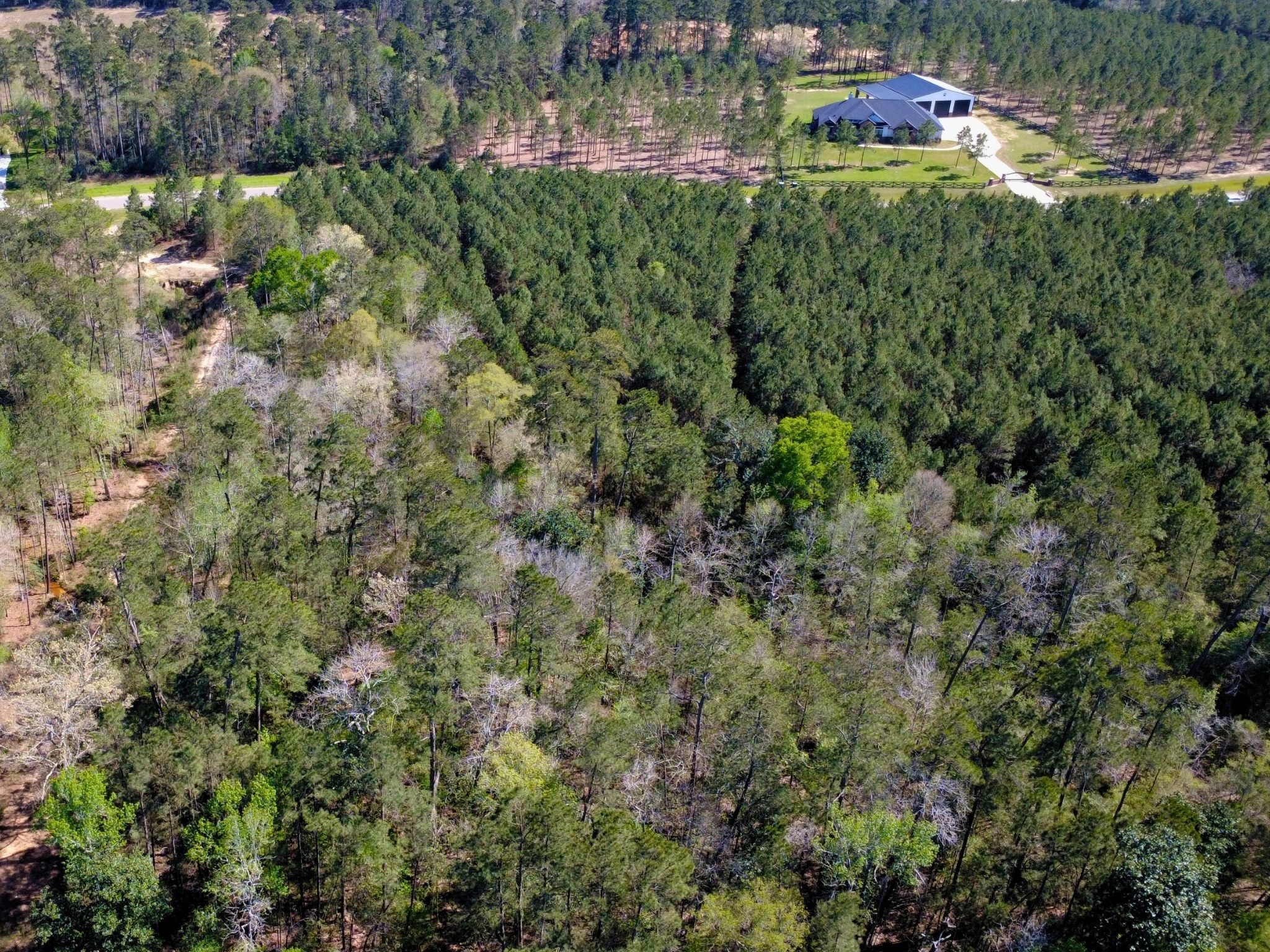 15761 Ridge Rock Road Property Photo 8