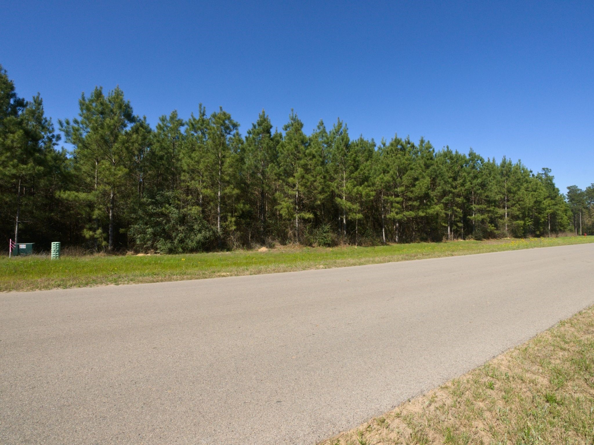 15761 Ridge Rock Road Property Photo 9