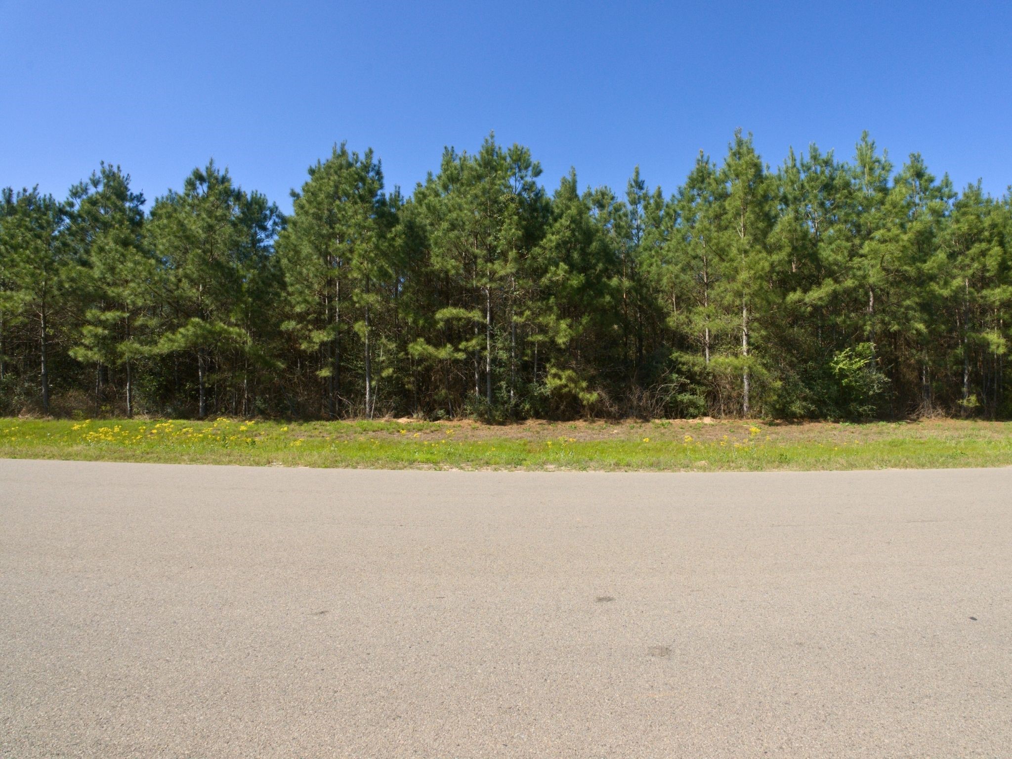 15761 Ridge Rock Road Property Photo 10