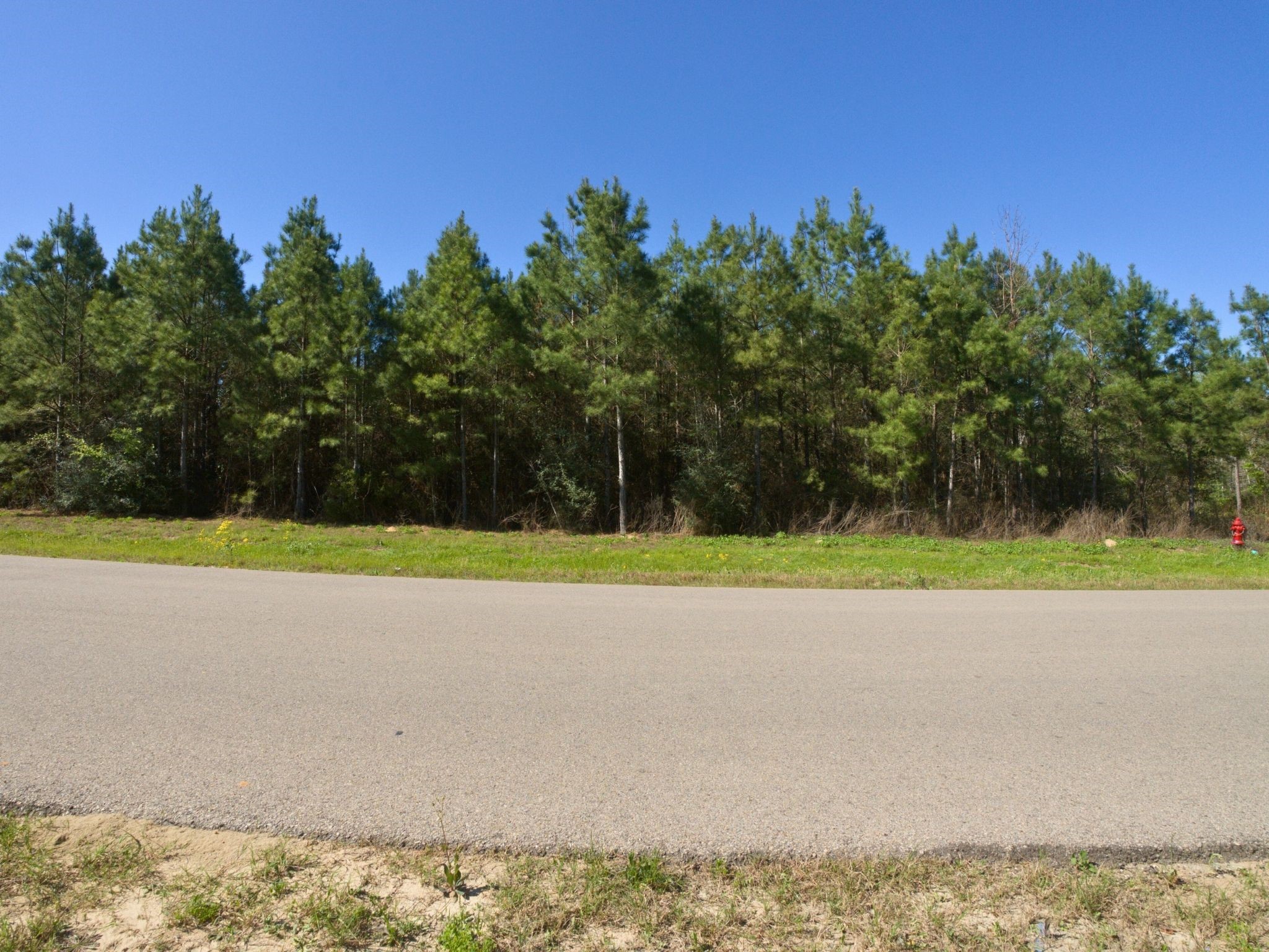 15761 Ridge Rock Road Property Photo 11