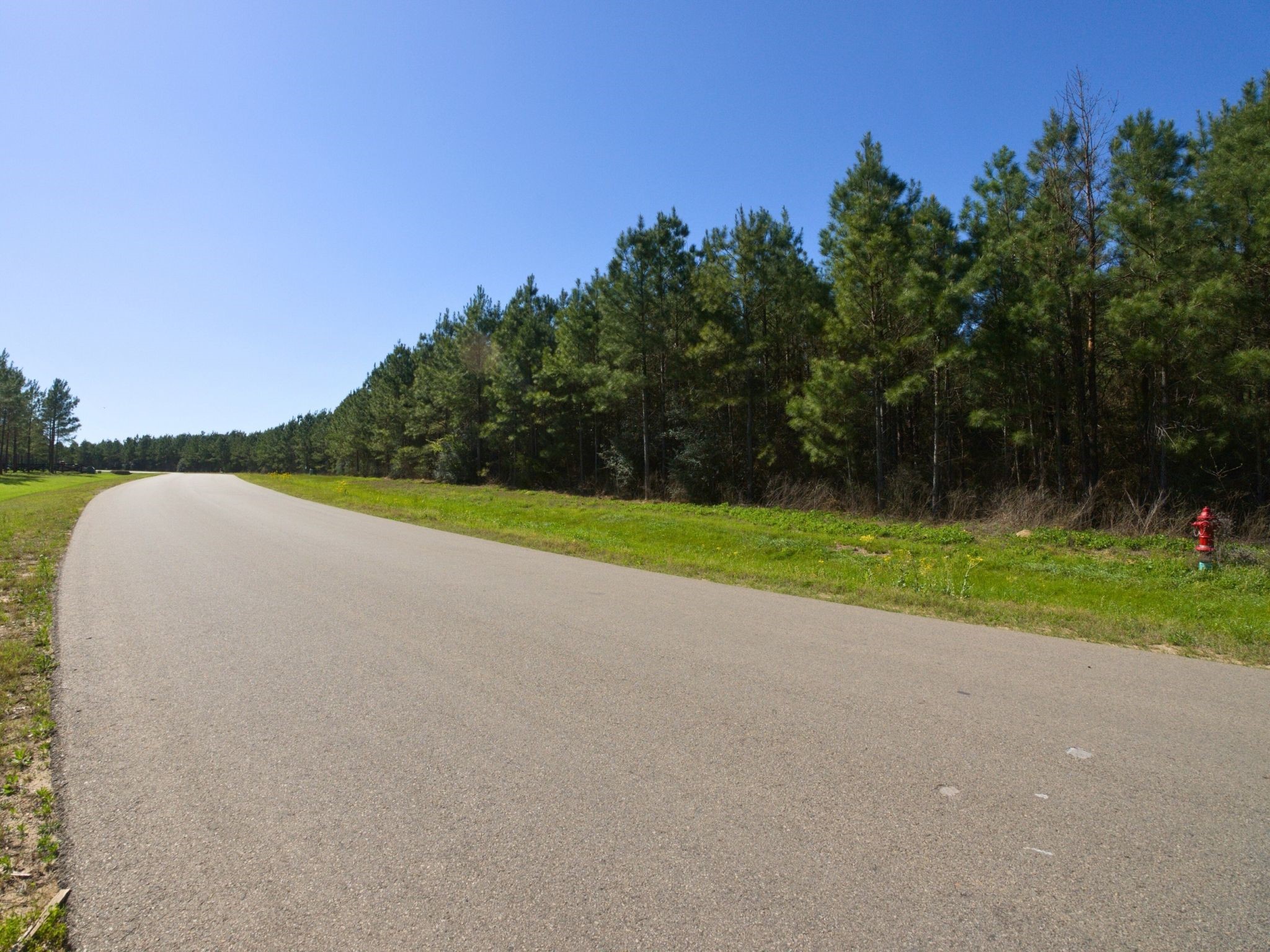 15761 Ridge Rock Road Property Photo 12