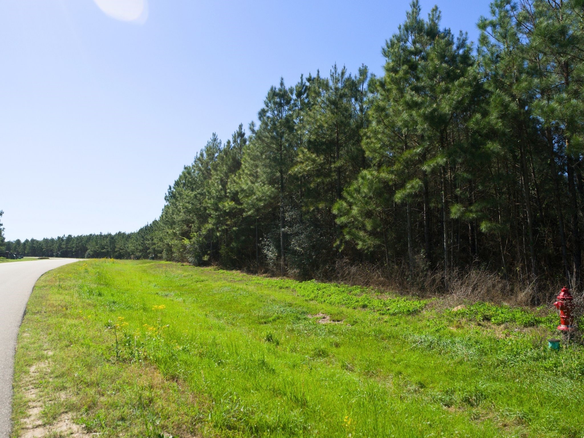 15761 Ridge Rock Road Property Photo 13