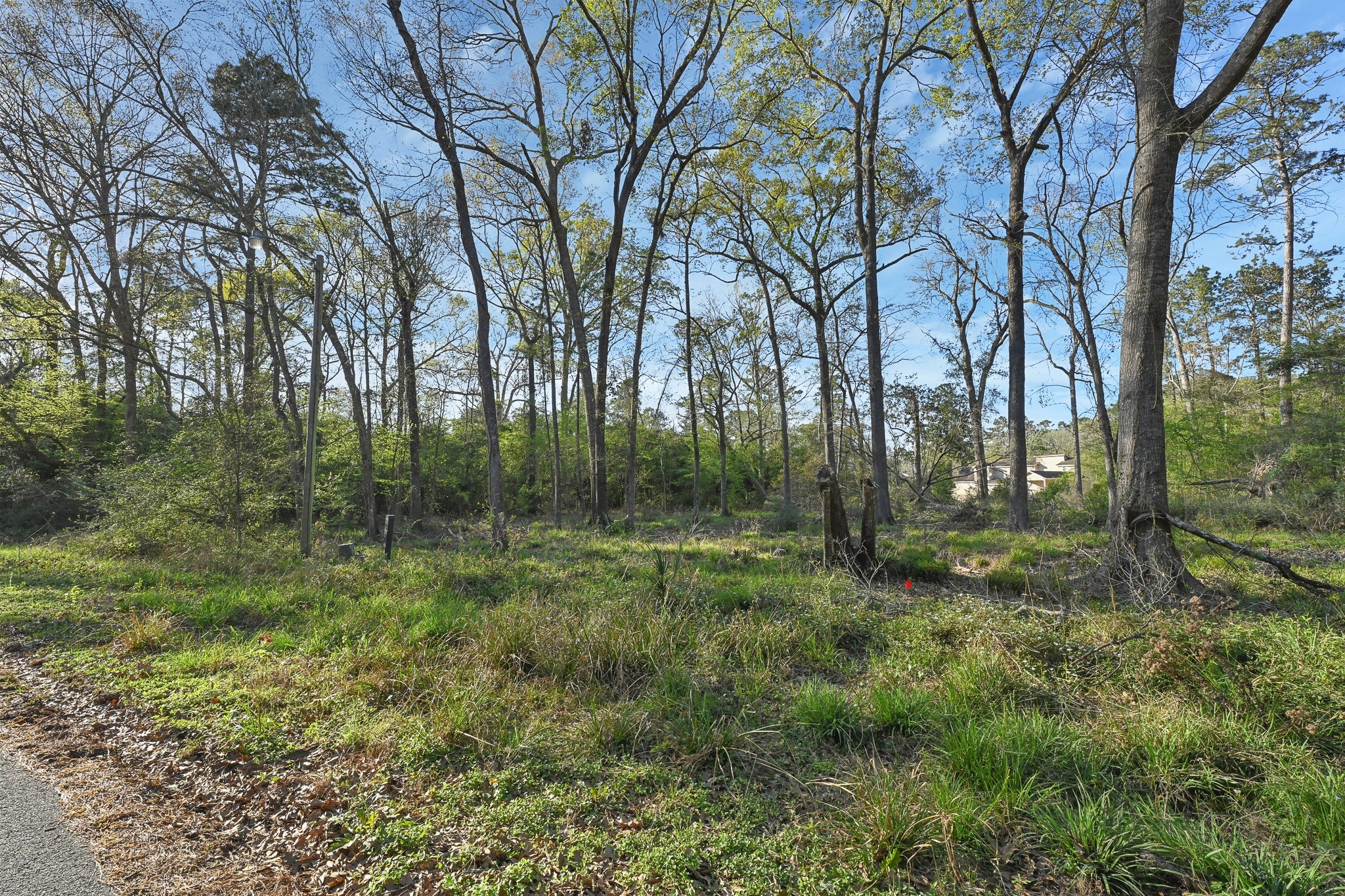 231 Chariot Lane Property Photo