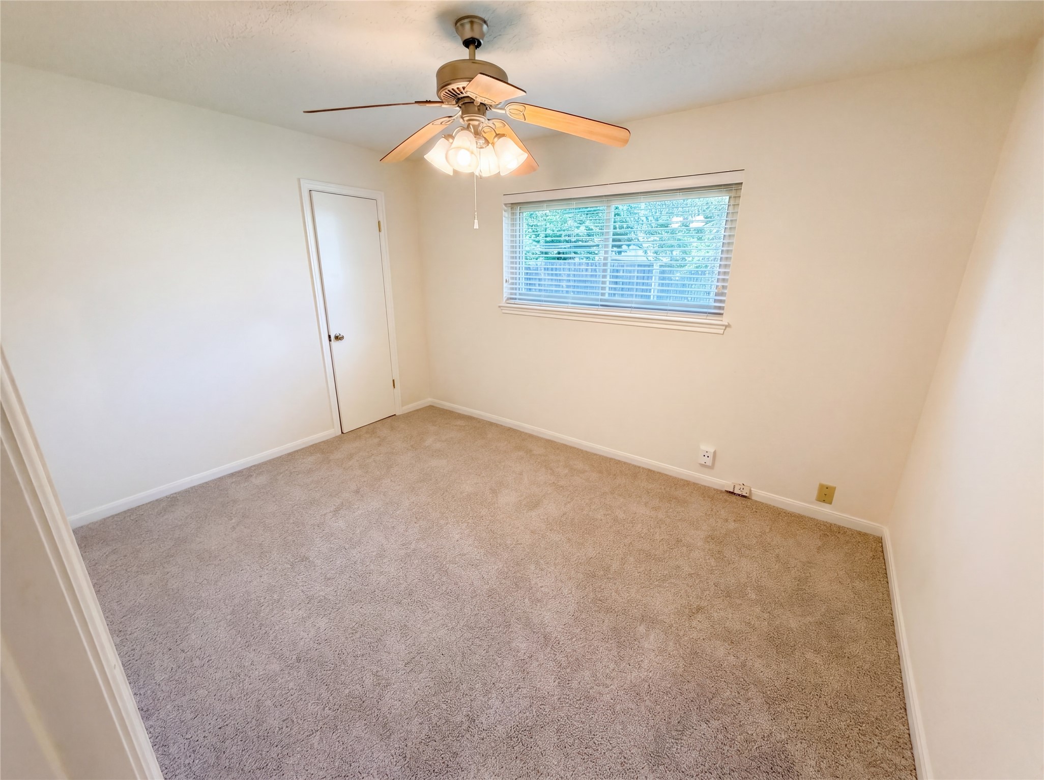 342 Queenstown Road Property Photo 12