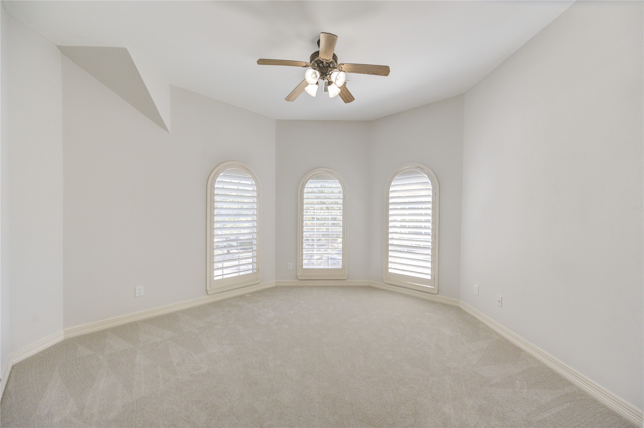 3007 Mullingar Walk Property Photo 41