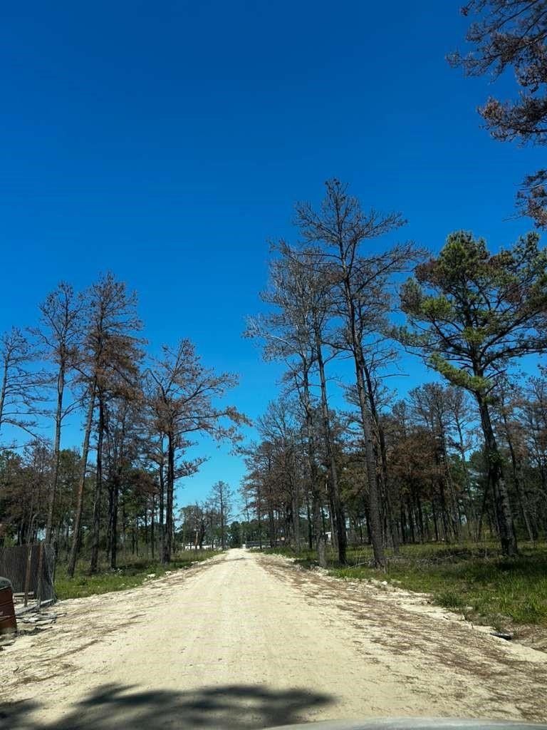 0 Hardy Toll Road Property Photo 6