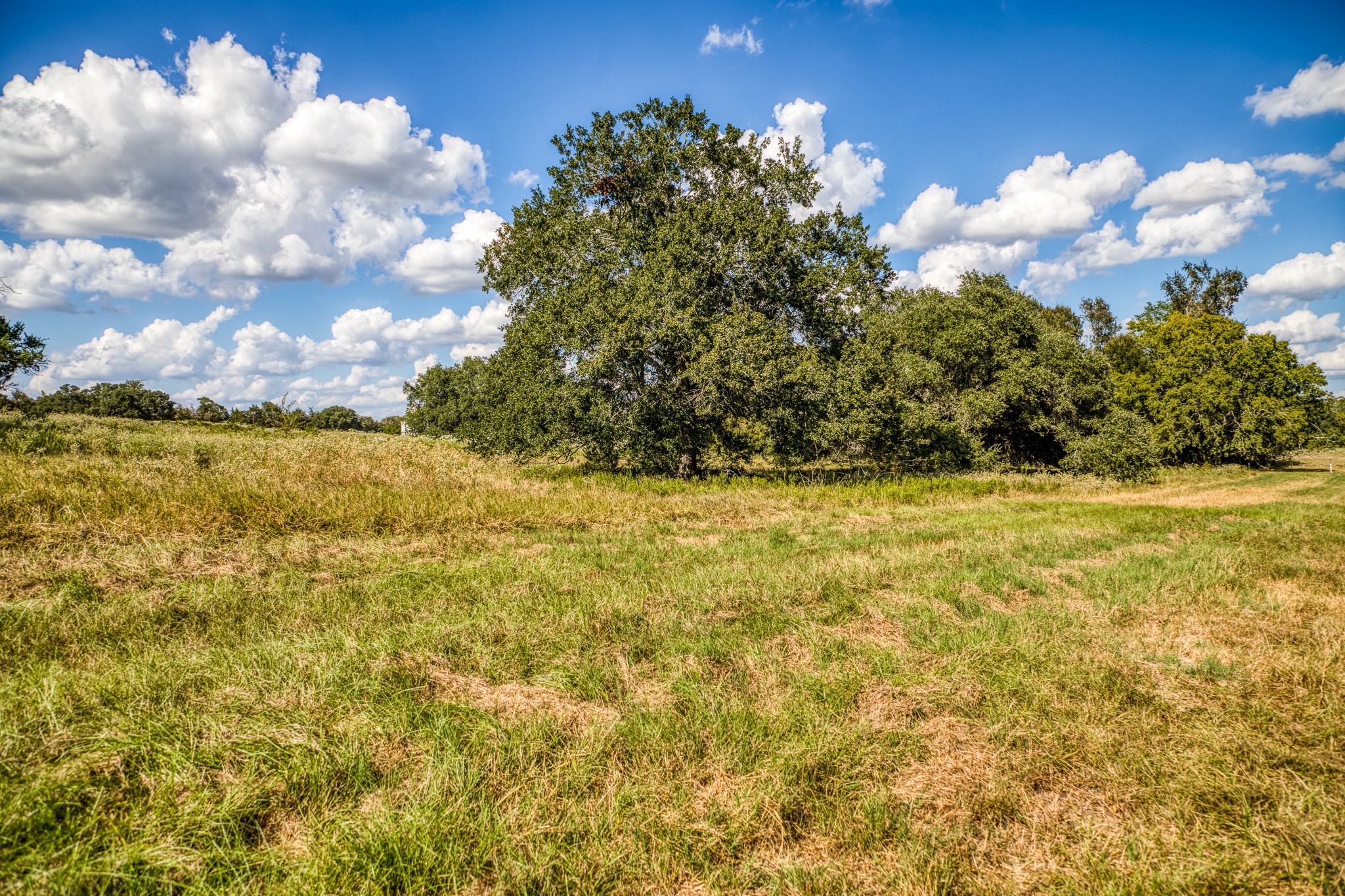 5455 Wolff Road Property Photo 39