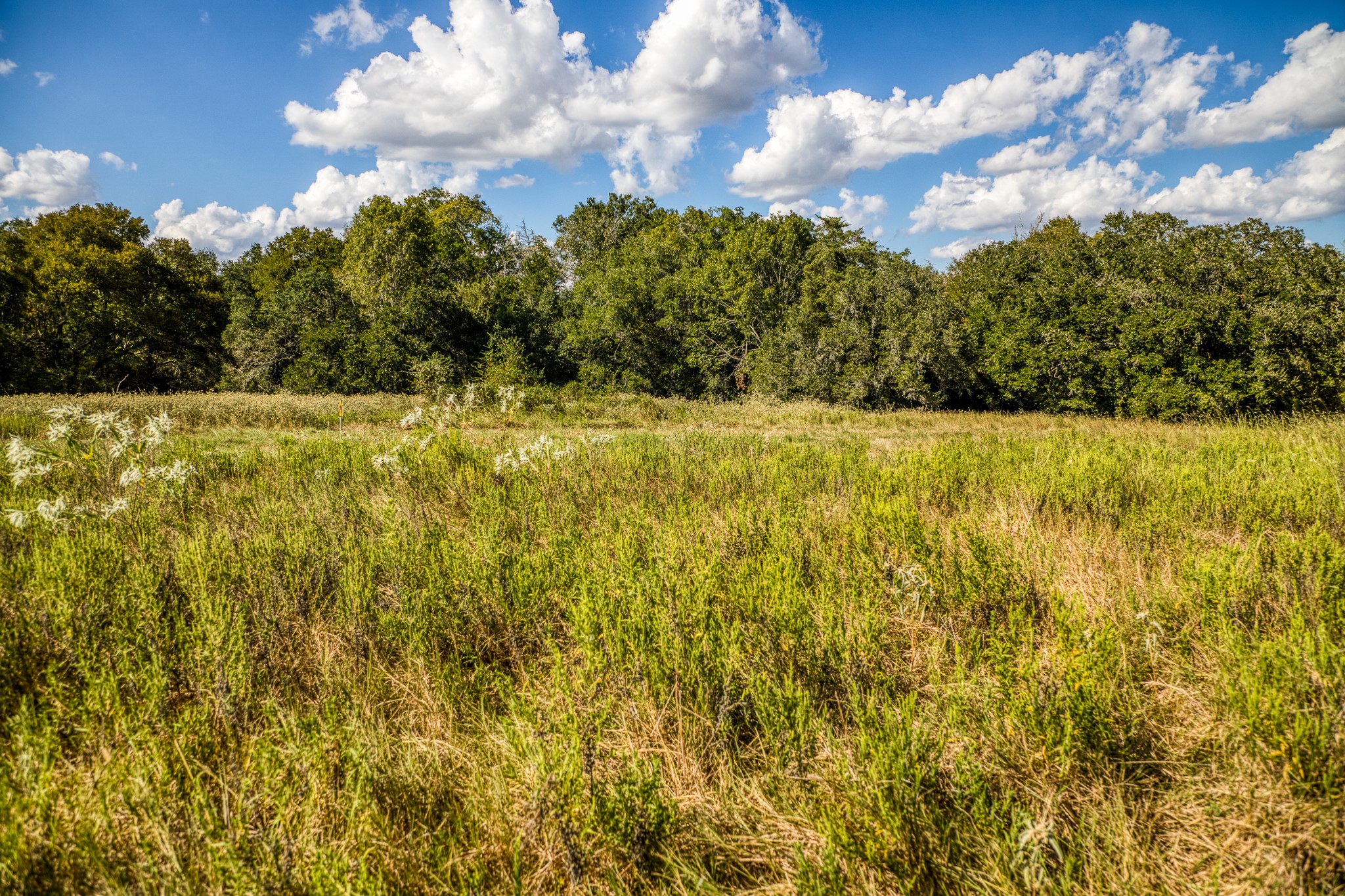 5455 Wolff Road Property Photo 41