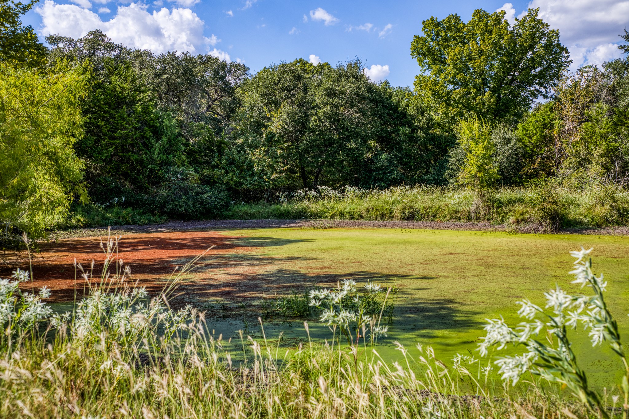 5455 Wolff Road Property Photo 42