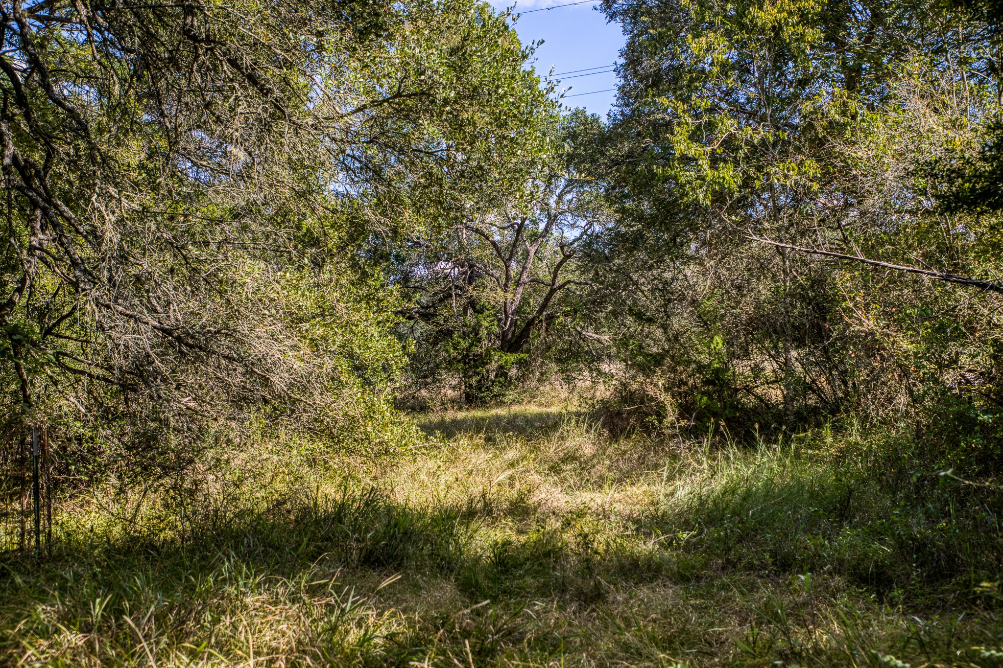 5455 Wolff Road Property Photo 43