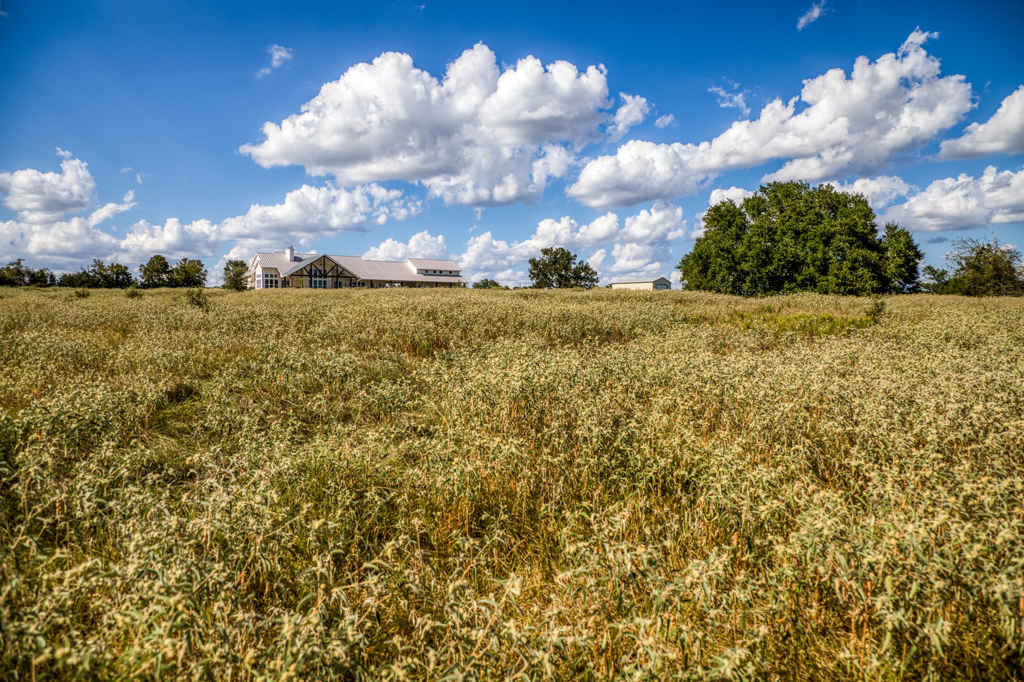 5455 Wolff Road Property Photo 49