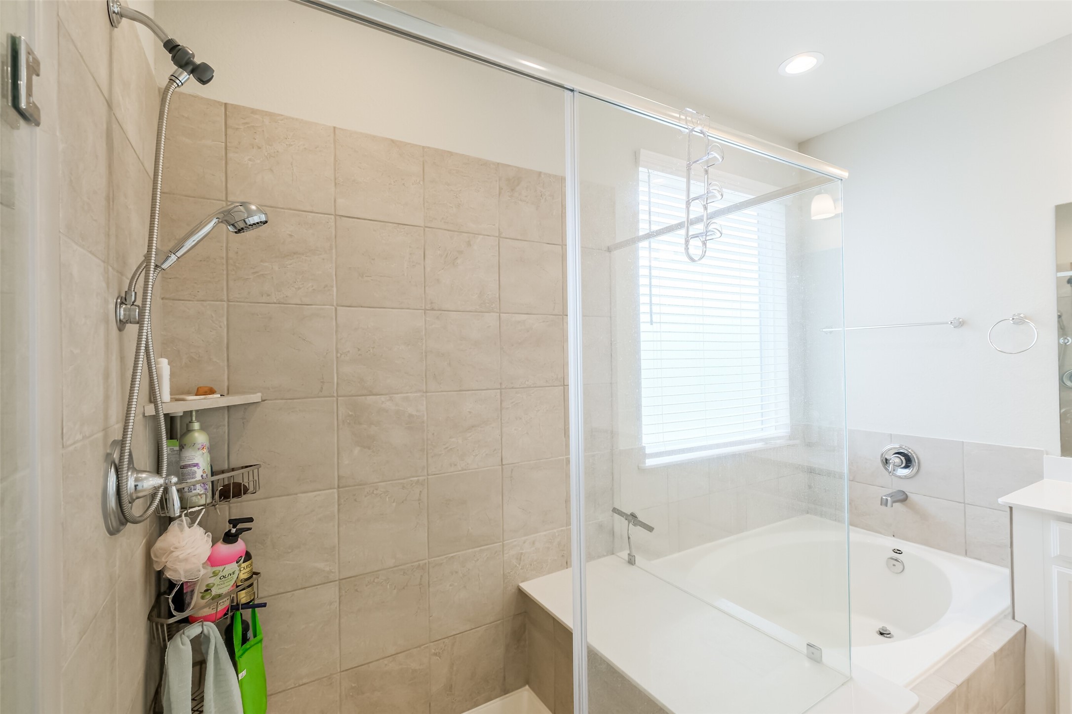 3125 Cloud Forest Lane Property Photo 17