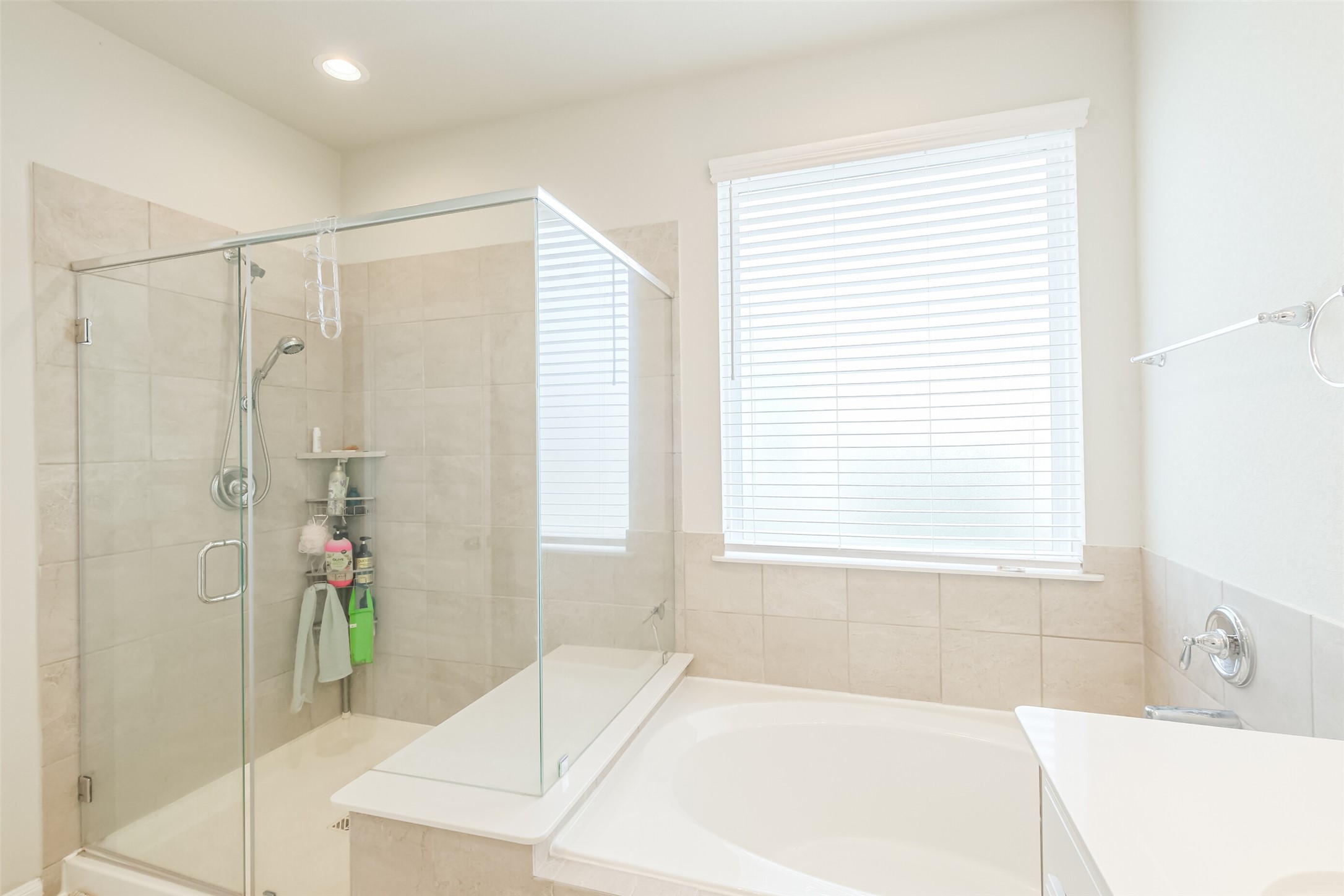 3125 Cloud Forest Lane Property Photo 18