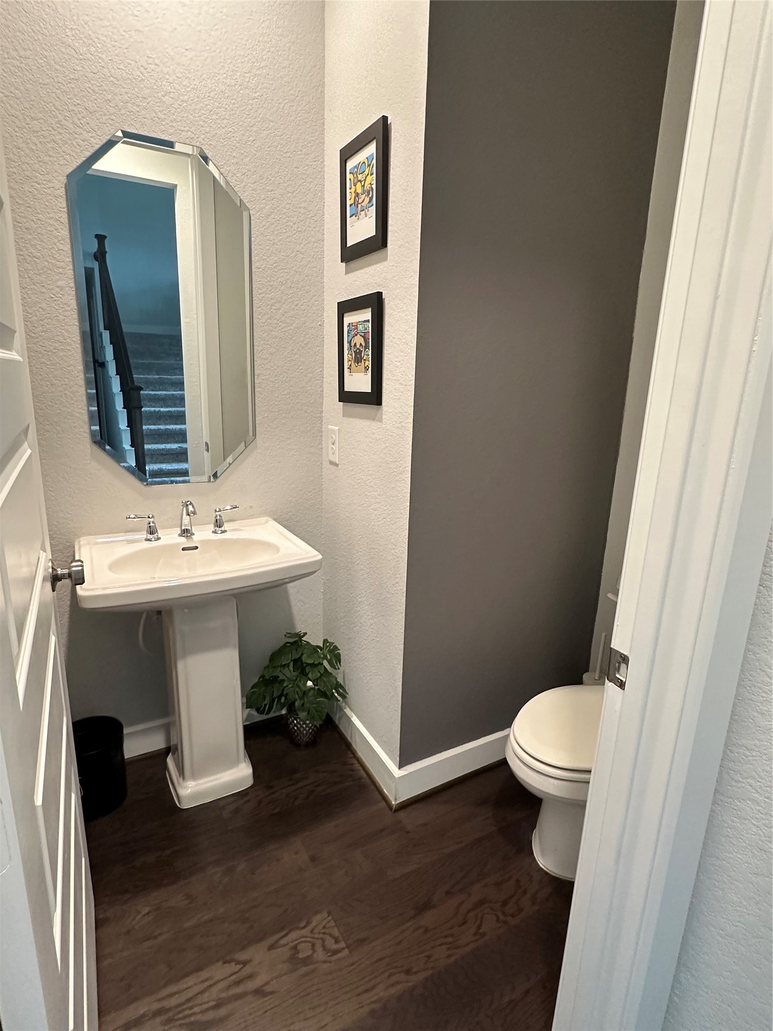 41 Snowdrop Lily Drive Property Photo 26