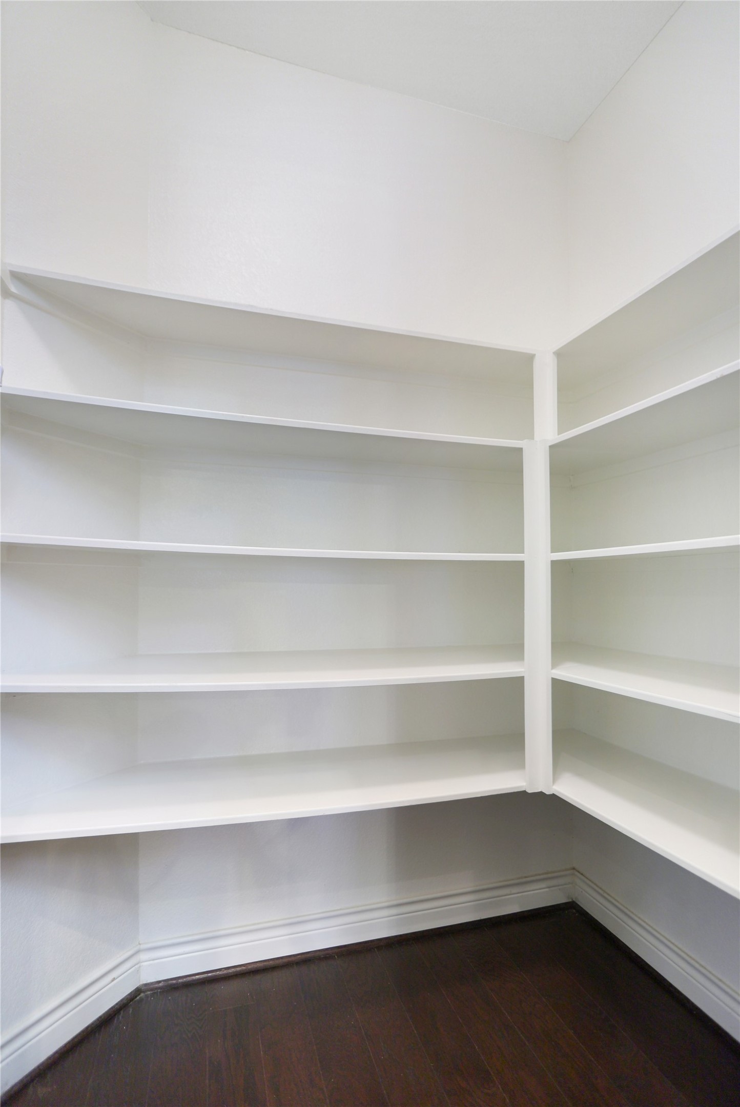 24139 Tapa Springs Lane Property Photo 10