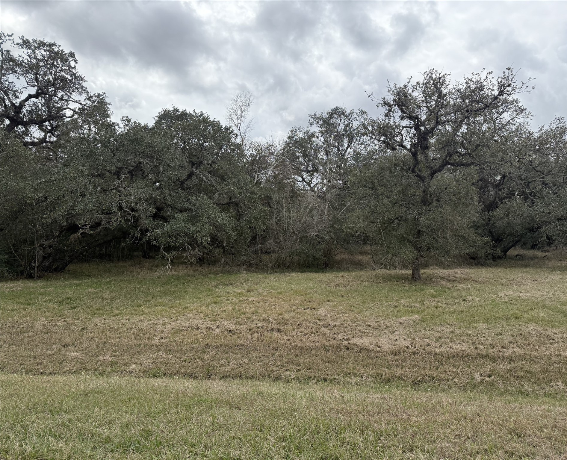 114 Center Tree Drive