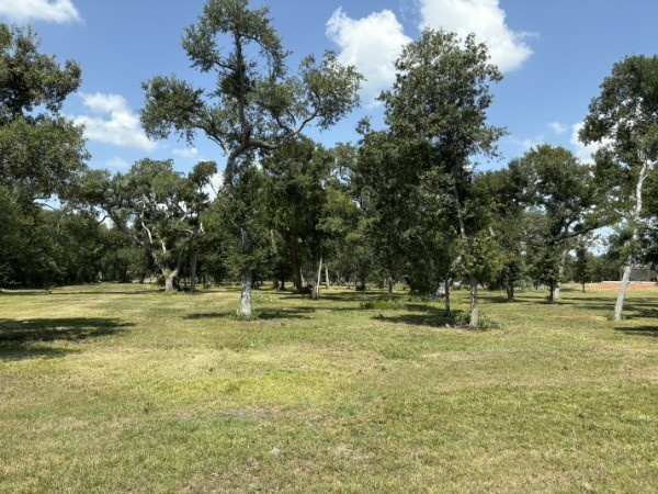 0 Fm 2611 Property Photo 2