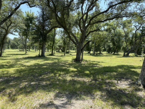 0 Fm 2611 Property Photo 4